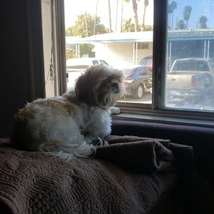 Meet your Posher, William